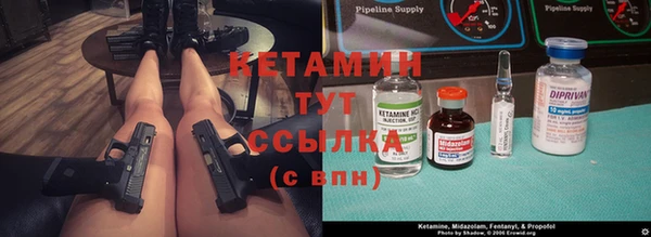 стаф Аркадак