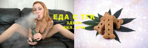 стаф Аркадак