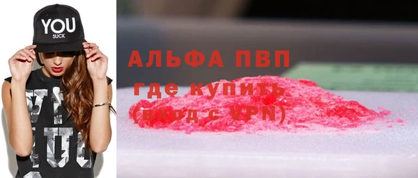 стаф Аркадак