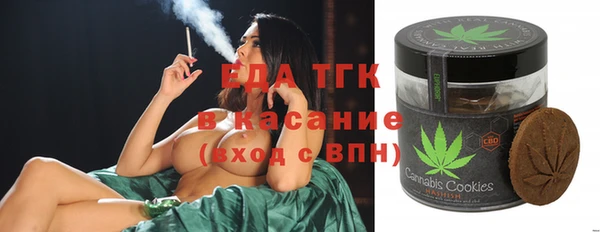 стаф Аркадак