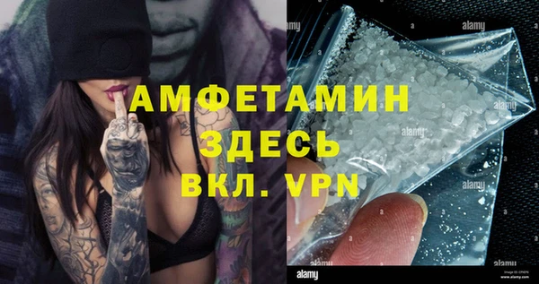 стаф Аркадак