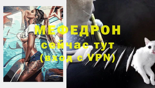 стаф Аркадак