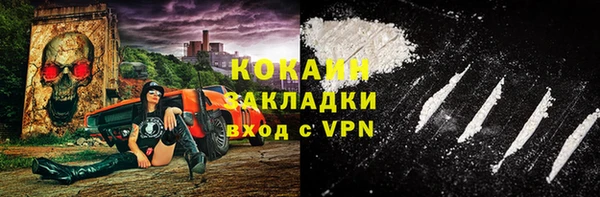 прущие грибы Арсеньев