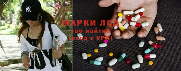 стаф Аркадак