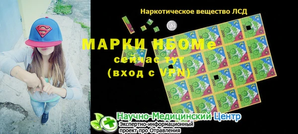 стаф Аркадак
