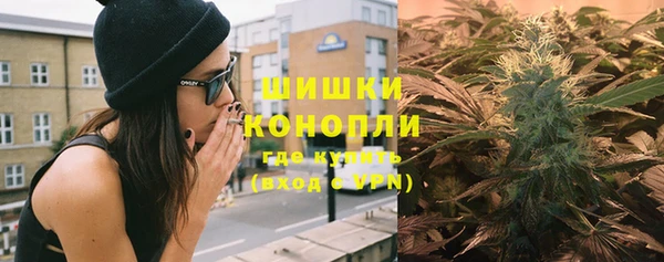 стаф Аркадак