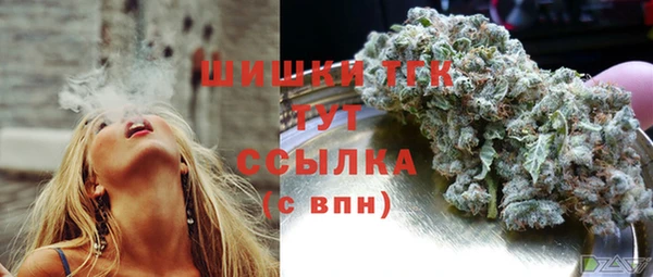 прущие грибы Арсеньев