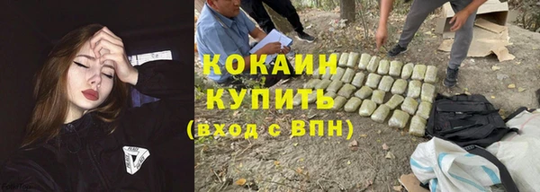 стаф Аркадак